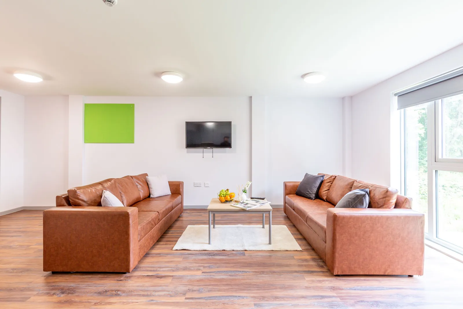 Newton Court – Portland Green Student Village photo 7