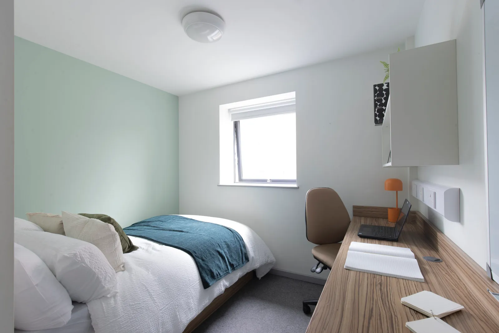 Rosedale Court – Portland Green Student Village photo 1