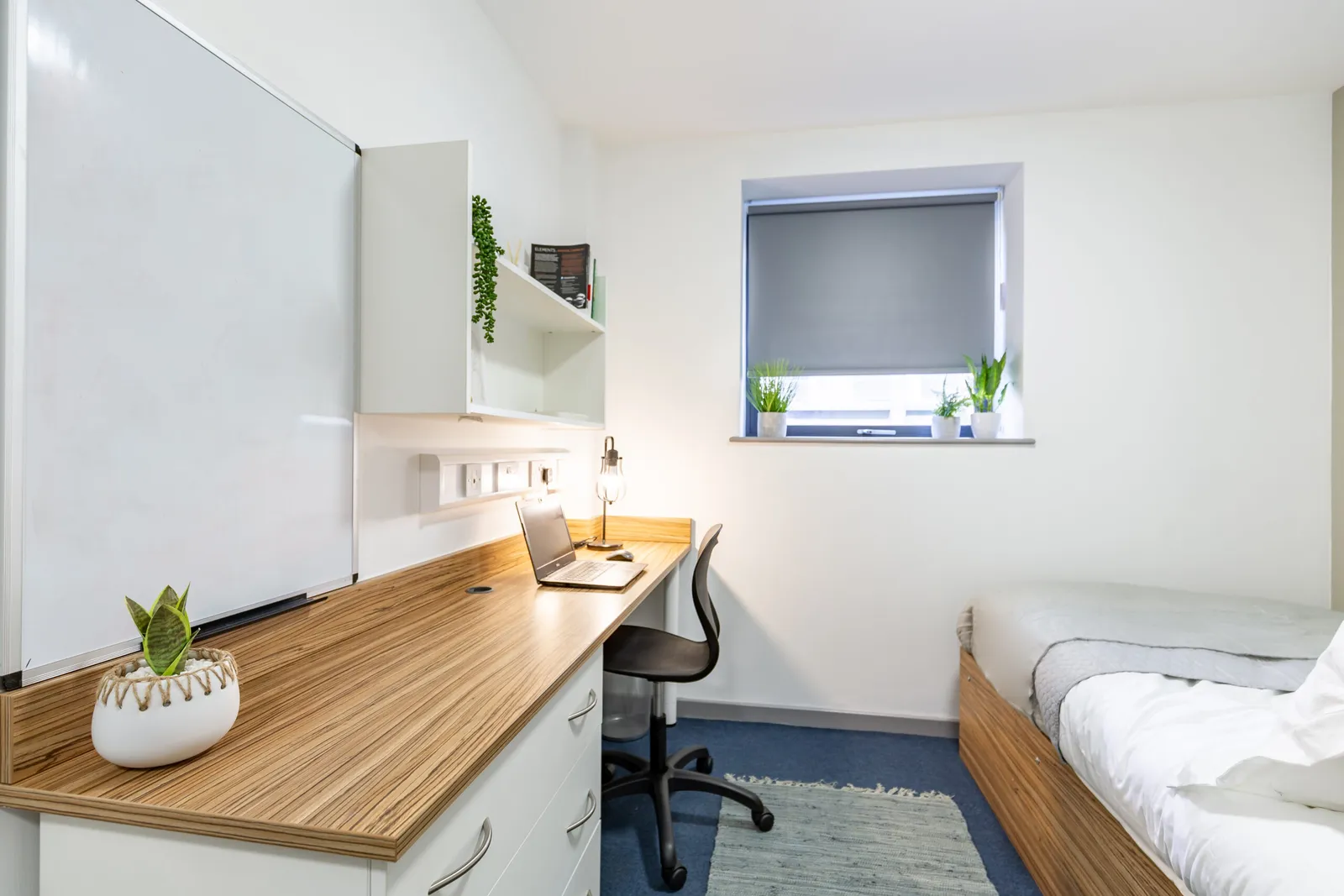 Turner Court – Portland Green Student Village photo 1