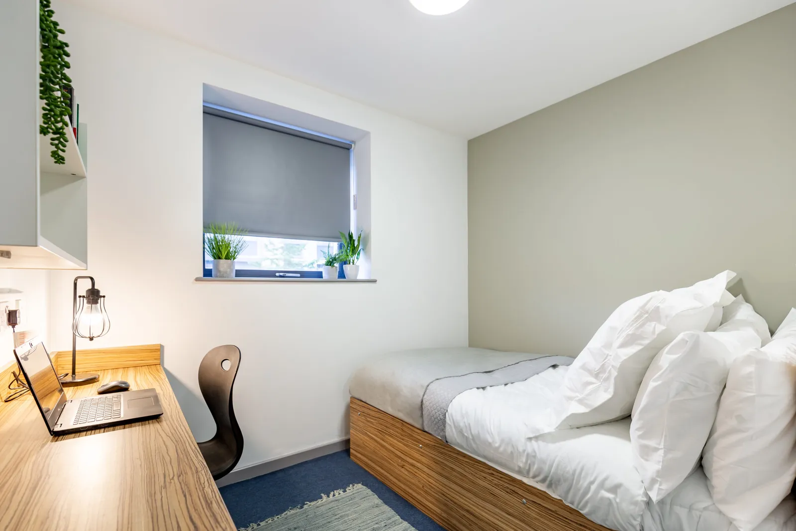 Turner Court – Portland Green Student Village photo 2