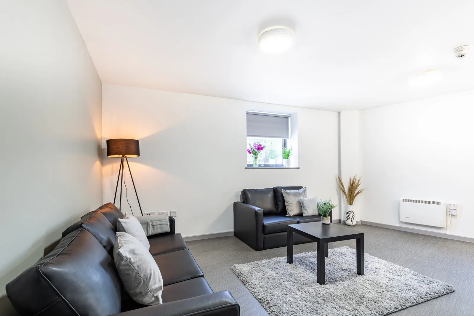 Turner Court – Portland Green Student Village photo 7