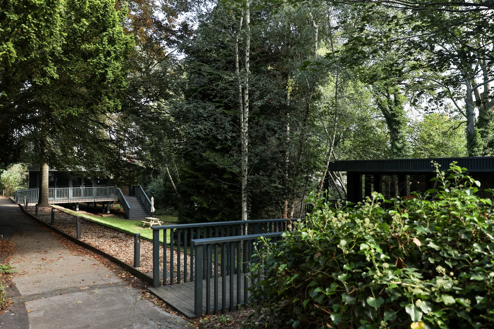 Beech Gardens photo 14