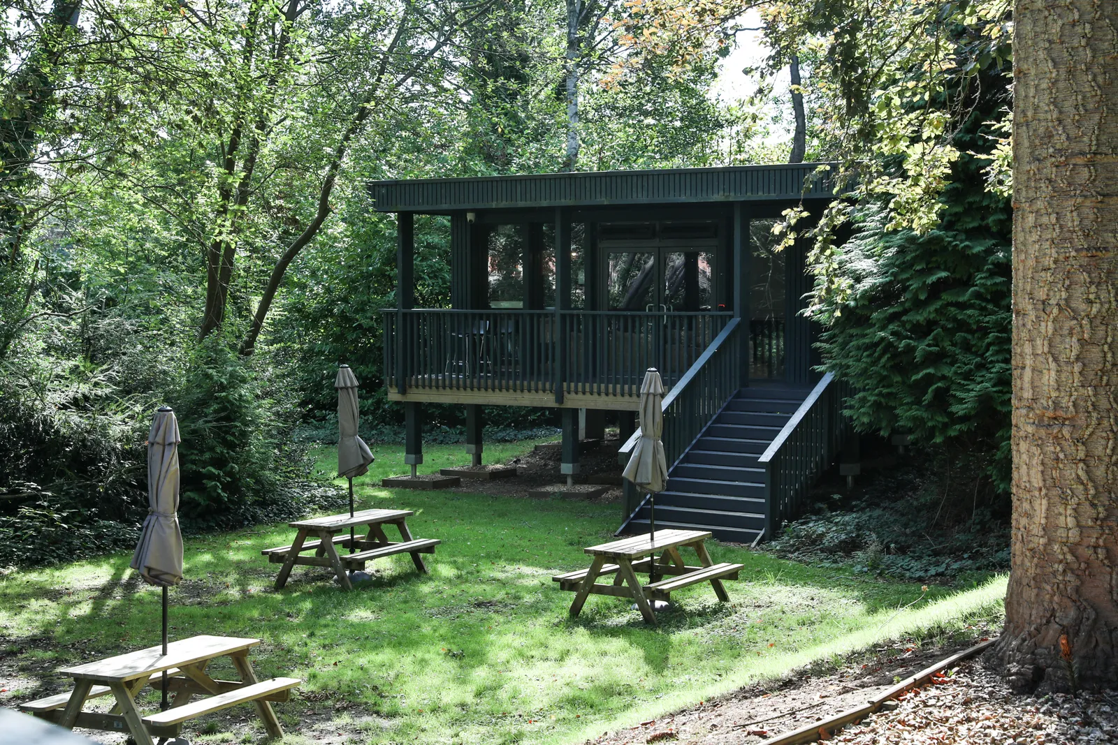 Beech Gardens photo 16