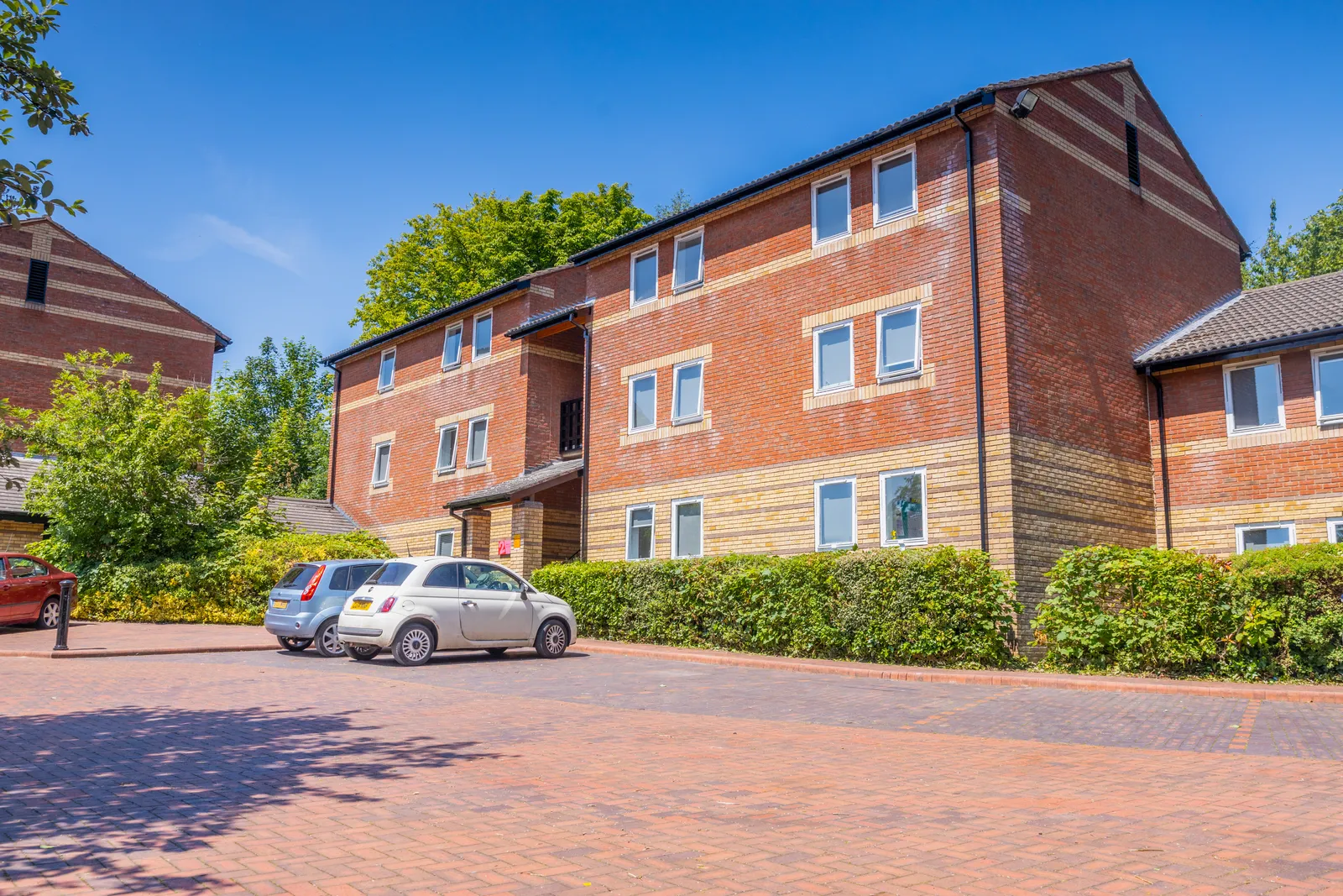 Beech Gardens photo 19