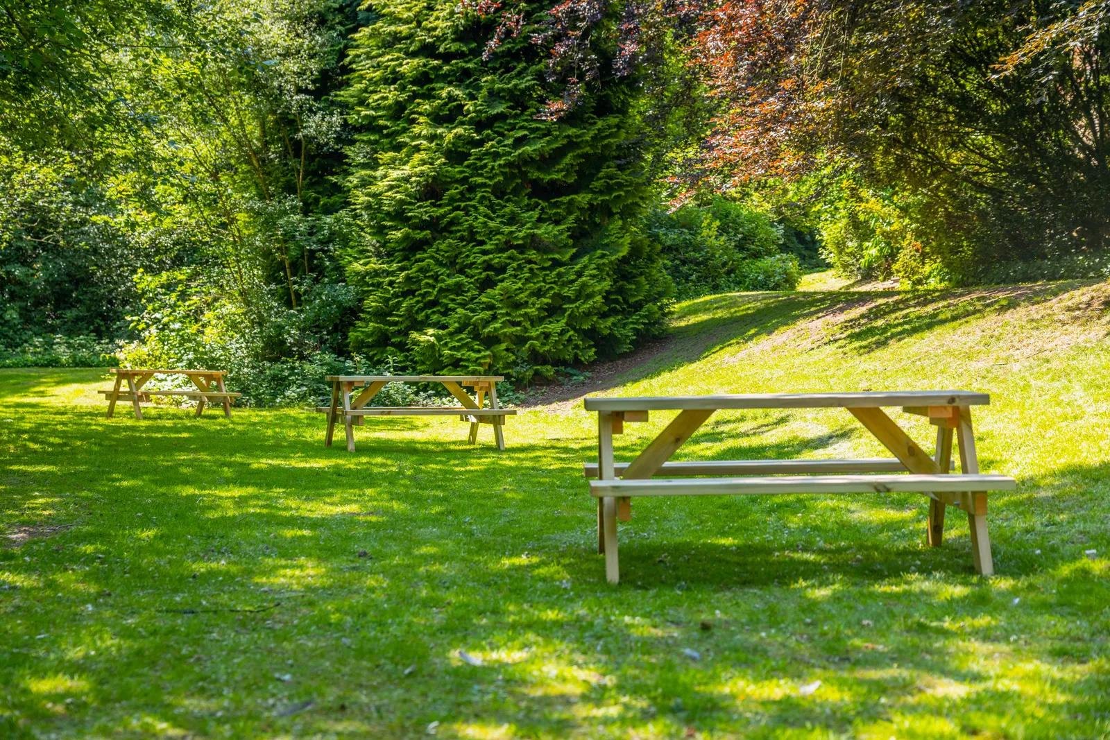 Beech Gardens photo 23