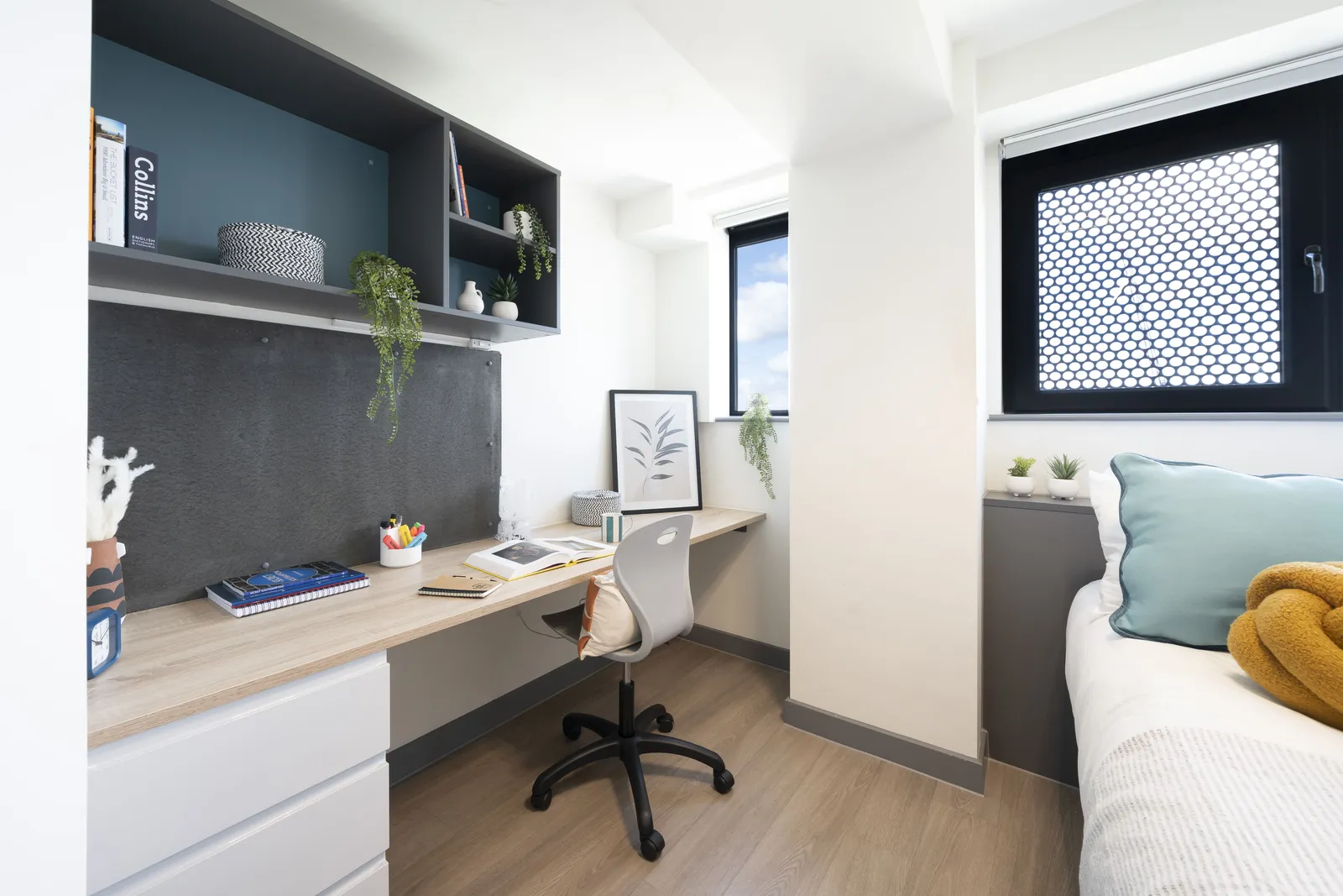 Canvas Capital House photo 22