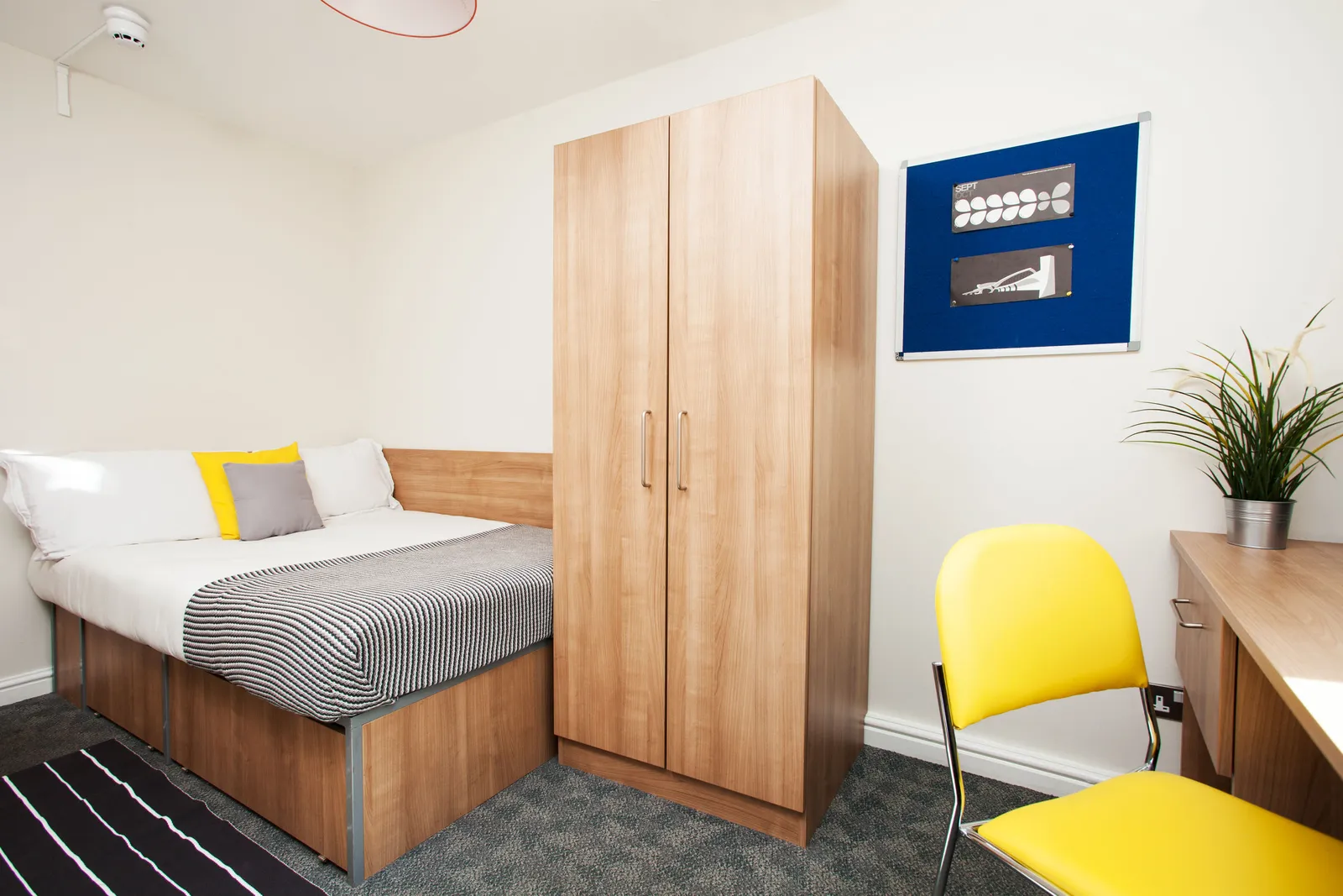 Sunlight Apartments photo 2