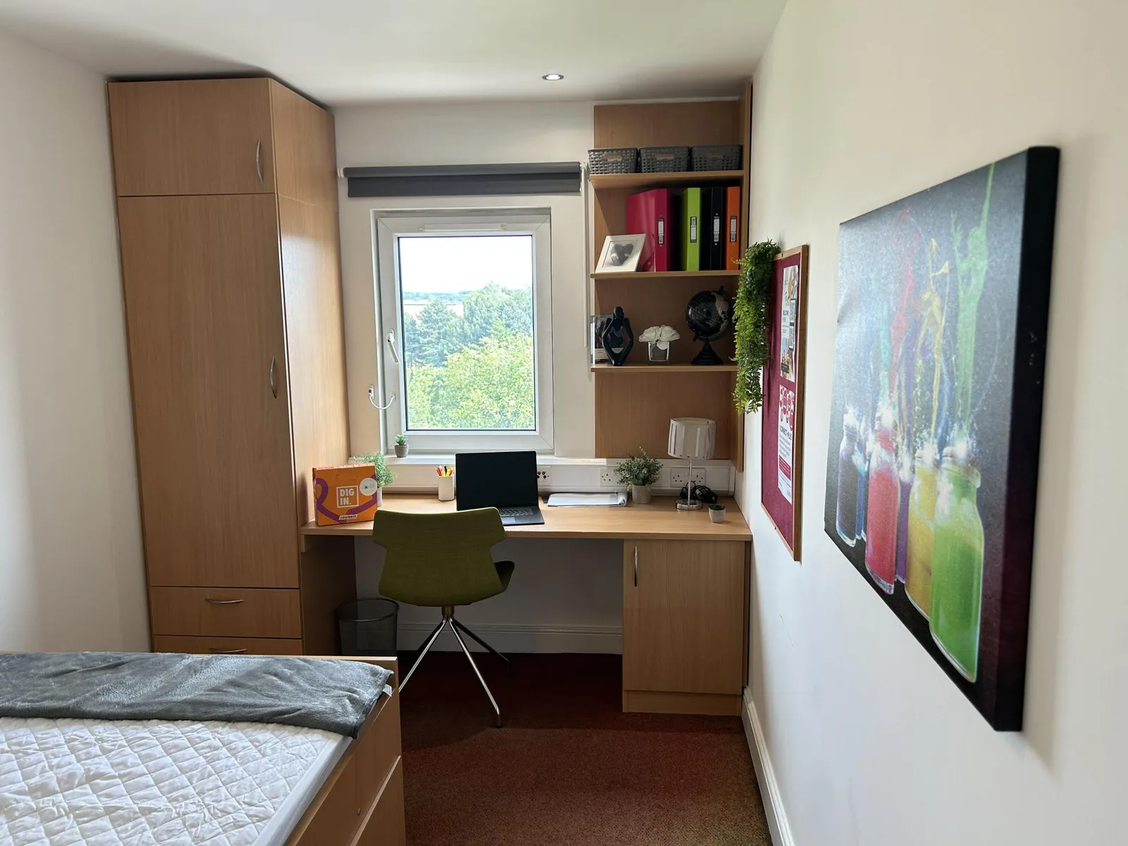 Horton Co-Living photo 3