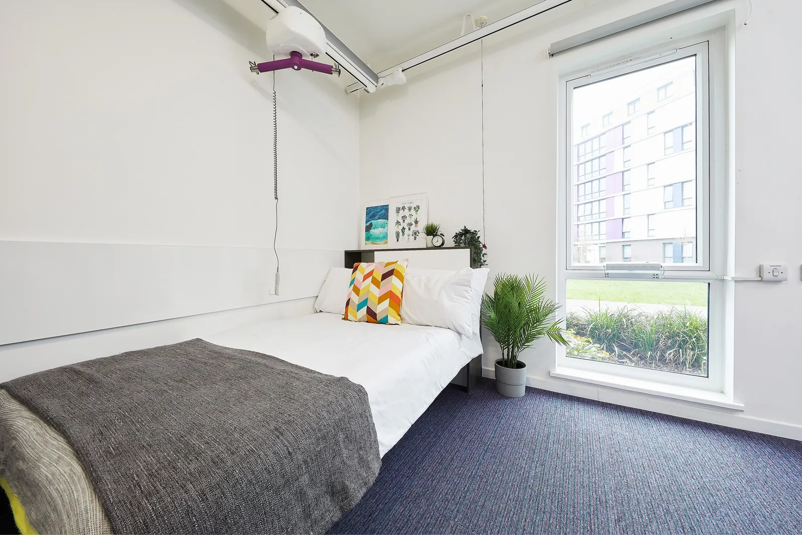 The Copse photo 5