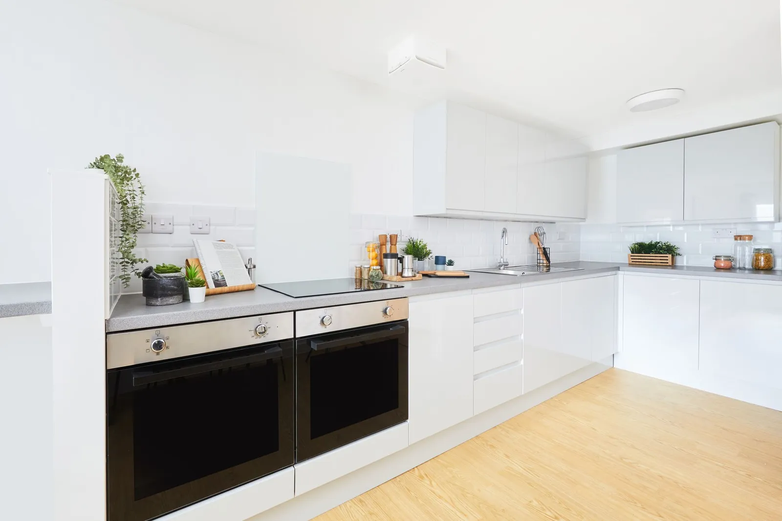 Bonhay House, Exeter photo 5