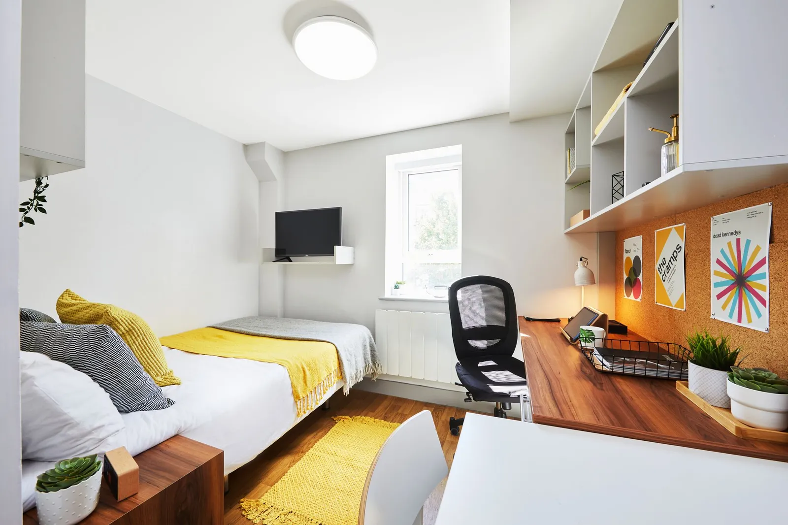 Standard Studio at St James Street,  Portsmouth