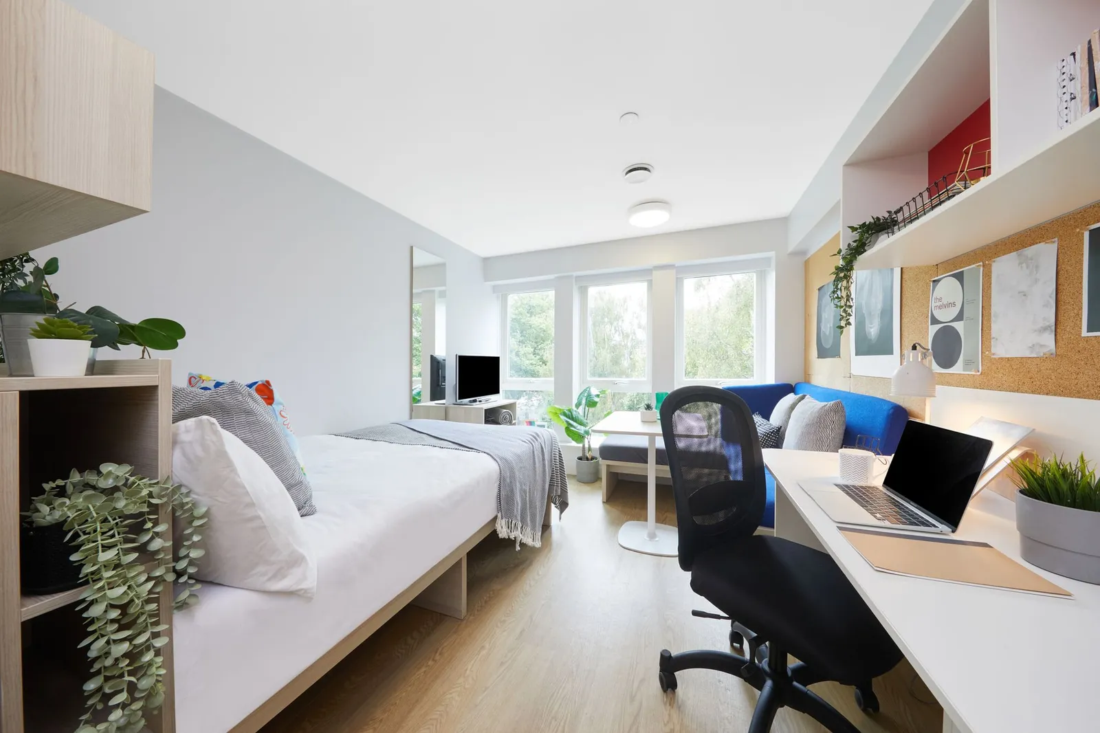 Gold Studio – Park View at Park House, Southampton