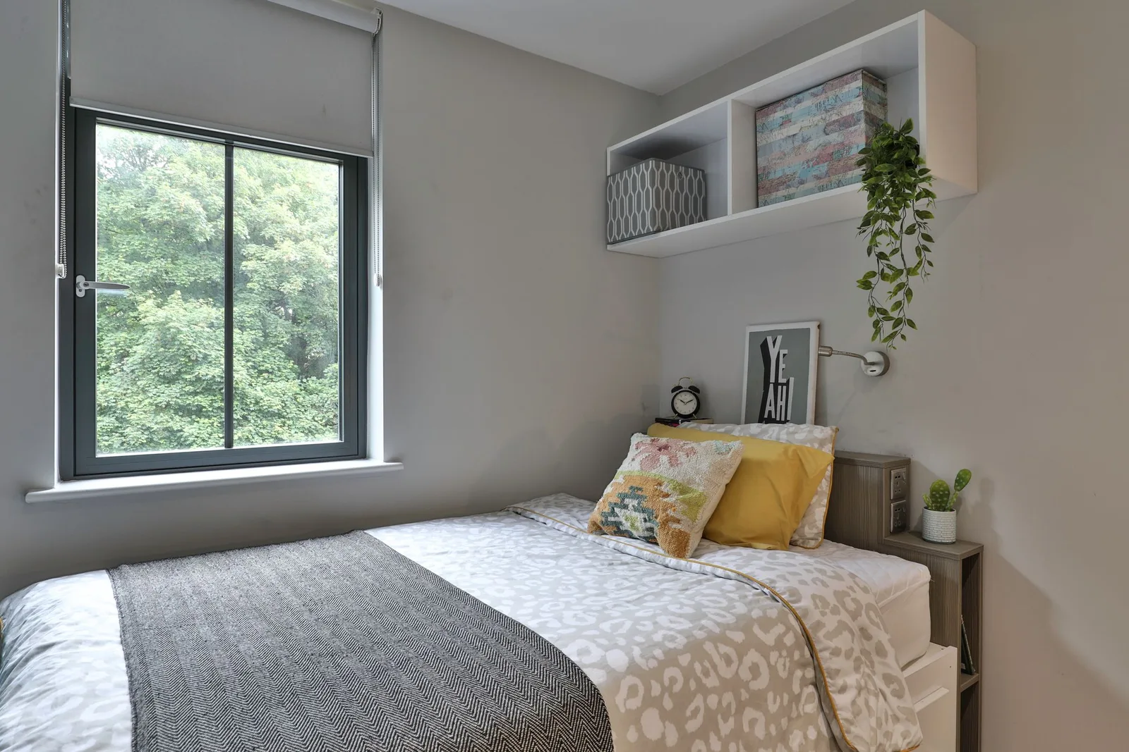 Percy’s Place photo 5