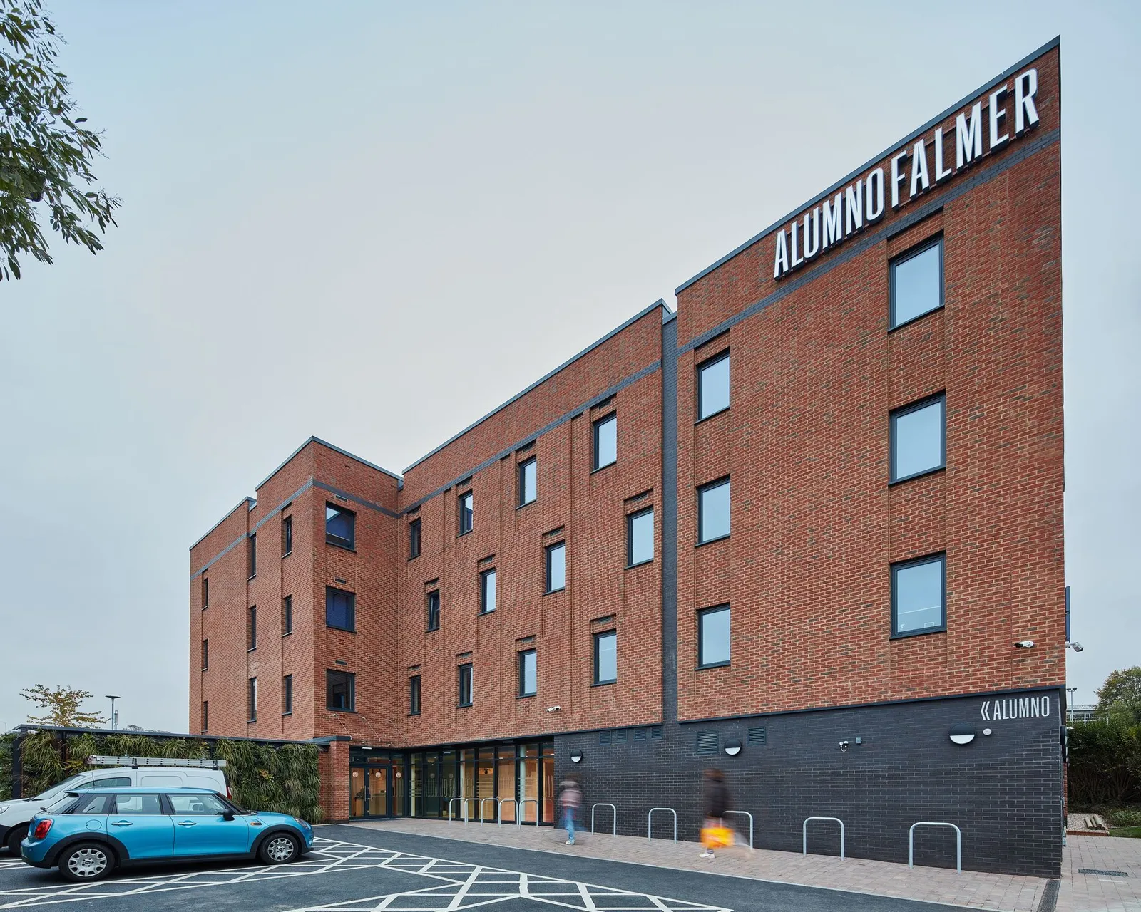 Alumno Falmer photo 12