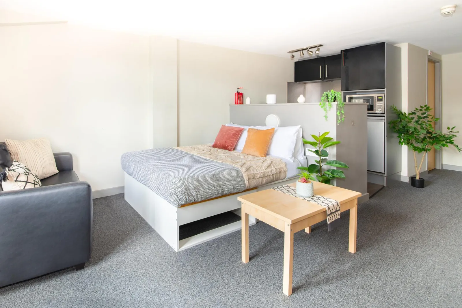 Premium Plus Studio at Studio 58