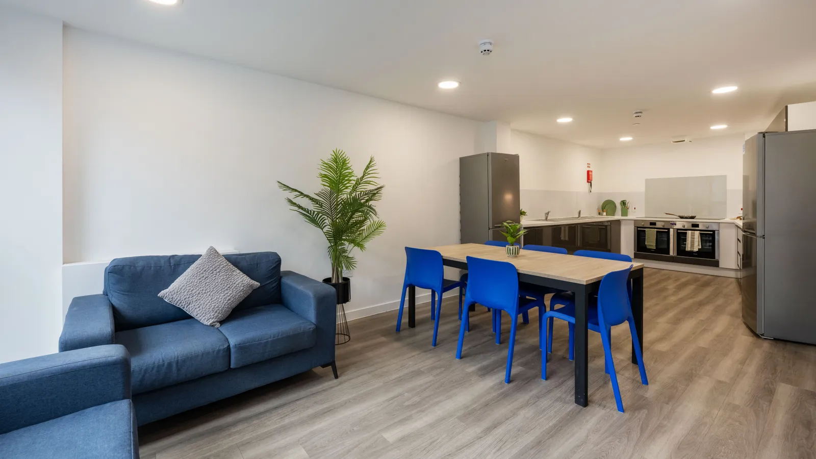 Currus Court photo 12