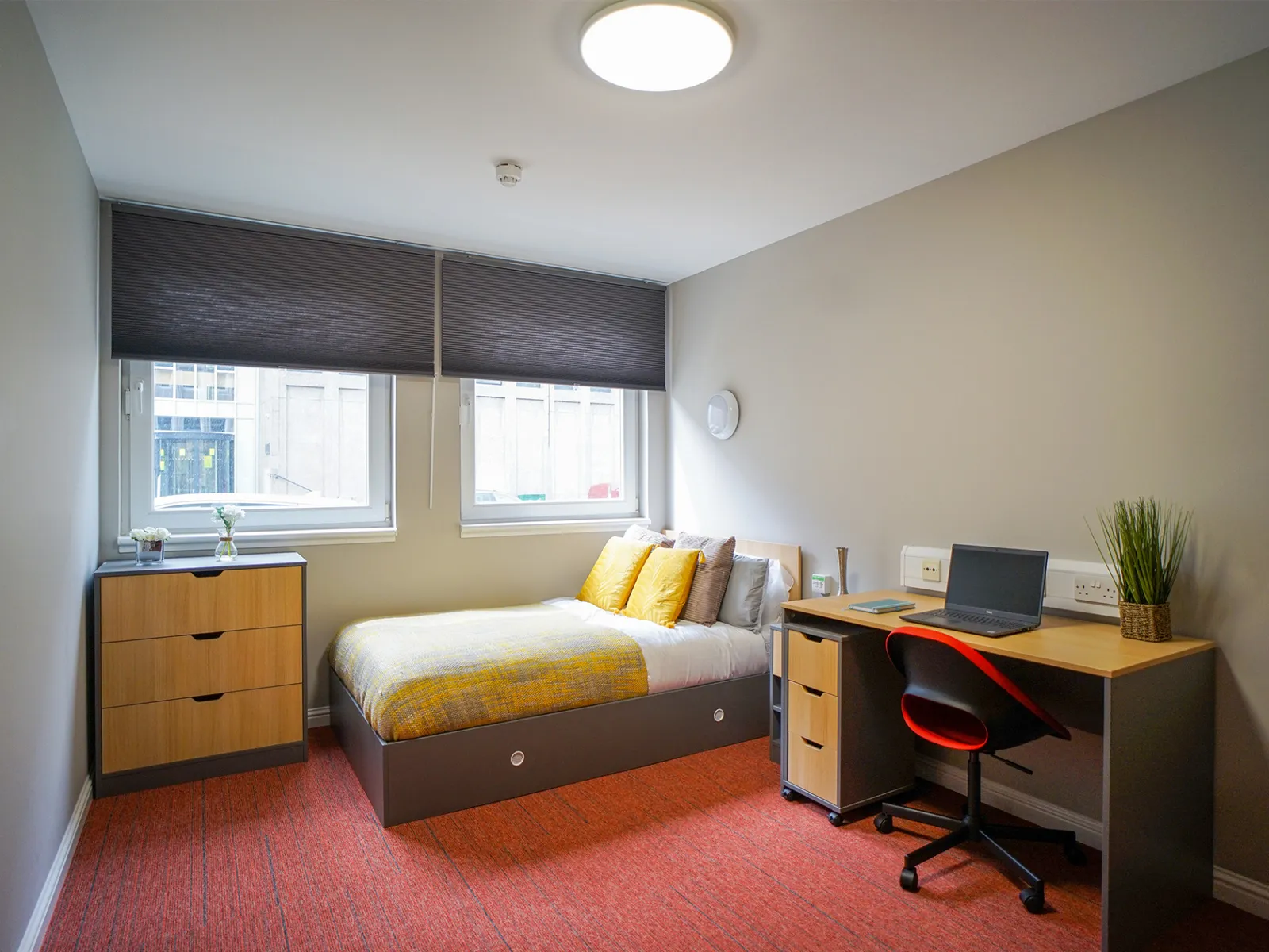 Standard Room at 8 Roxburgh