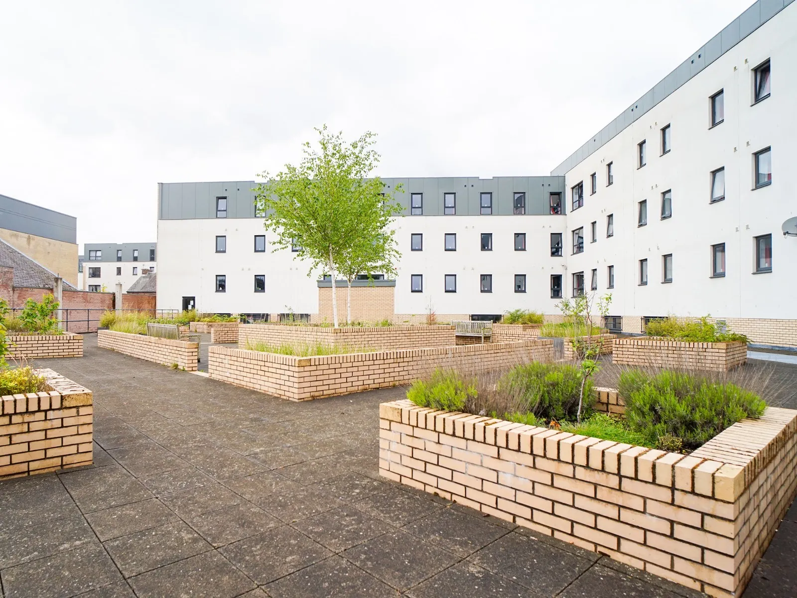 Beaverbank Place photo 20