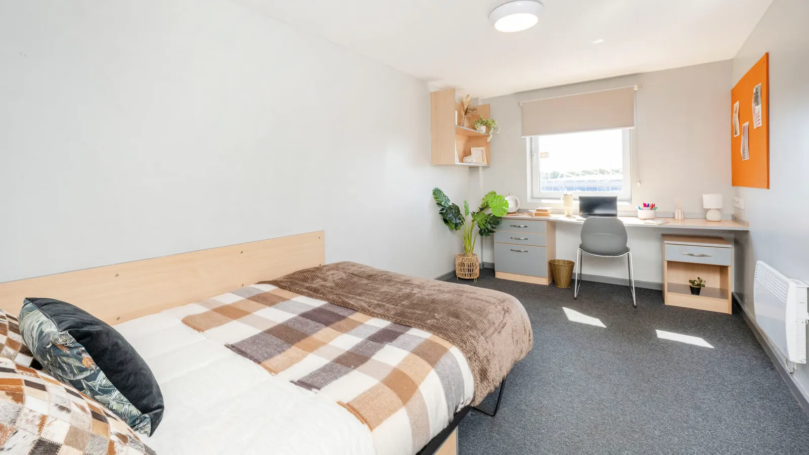 Premium Plus Ensuite at Filbert Village