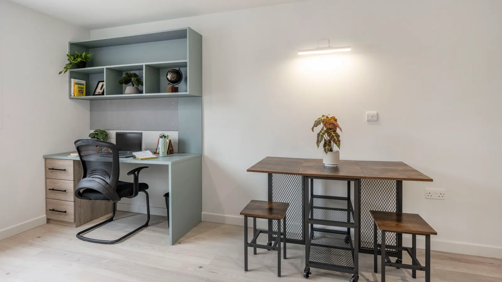 The Paragon photo 10