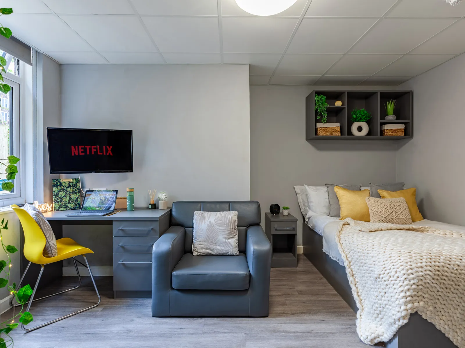 Luxury Studio at Allen Court