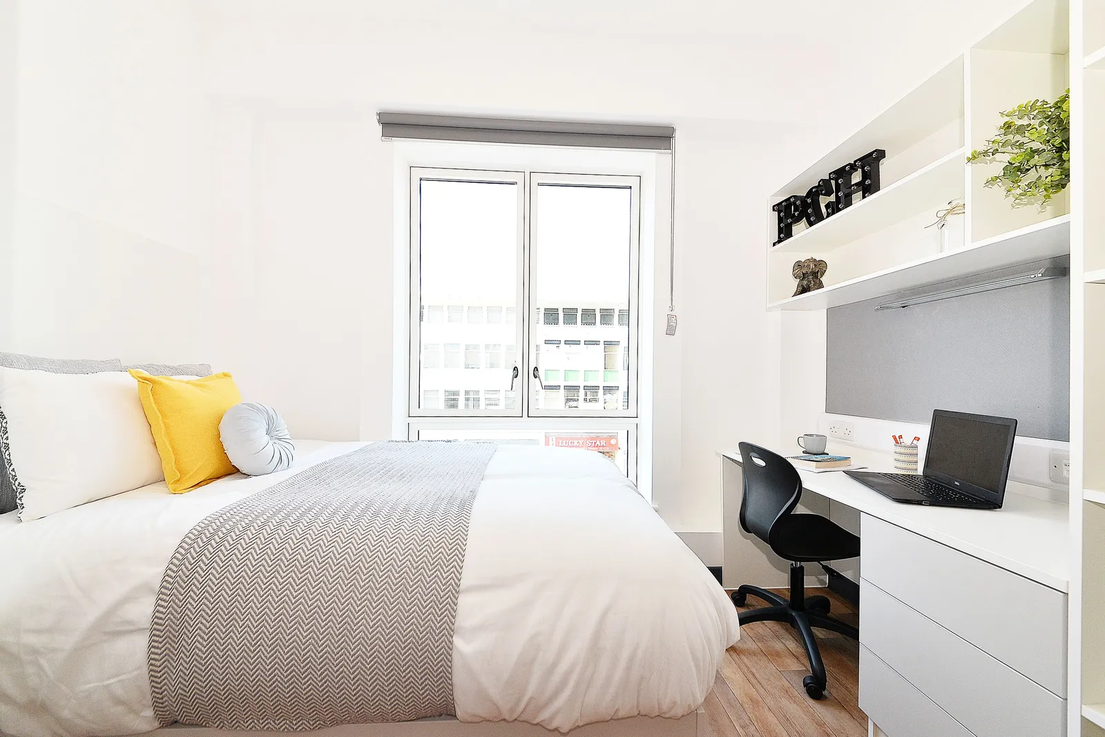 Gold Ensuite at Plymouth Cross House
