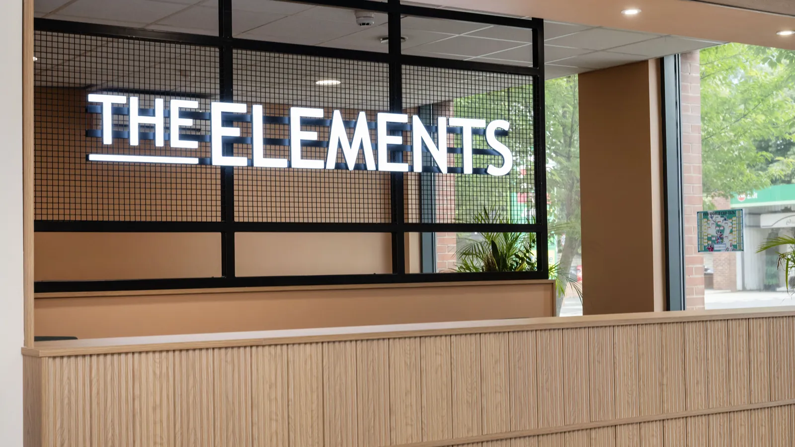 The Elements photo 2