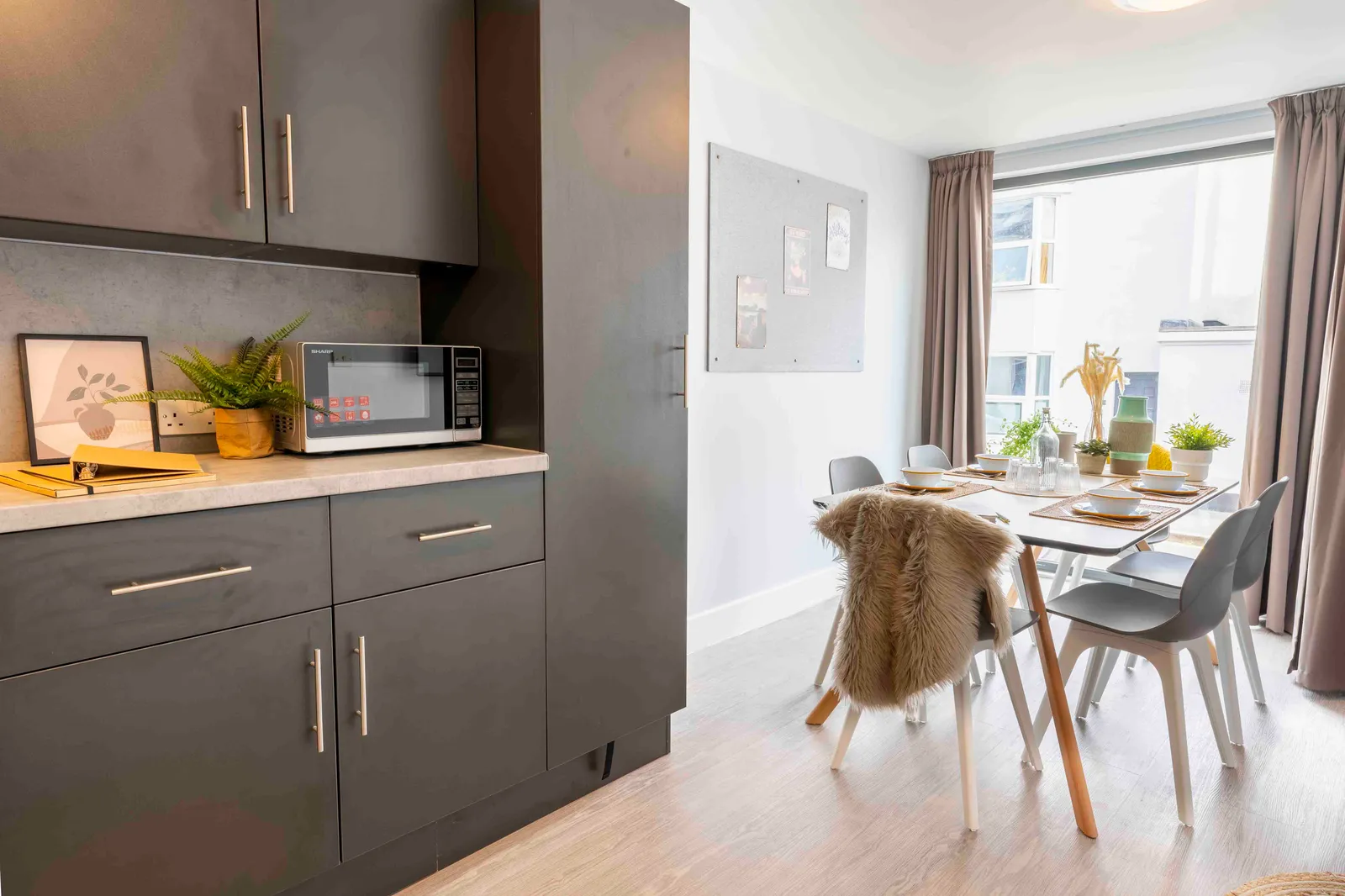 iQ Abacus House photo 4