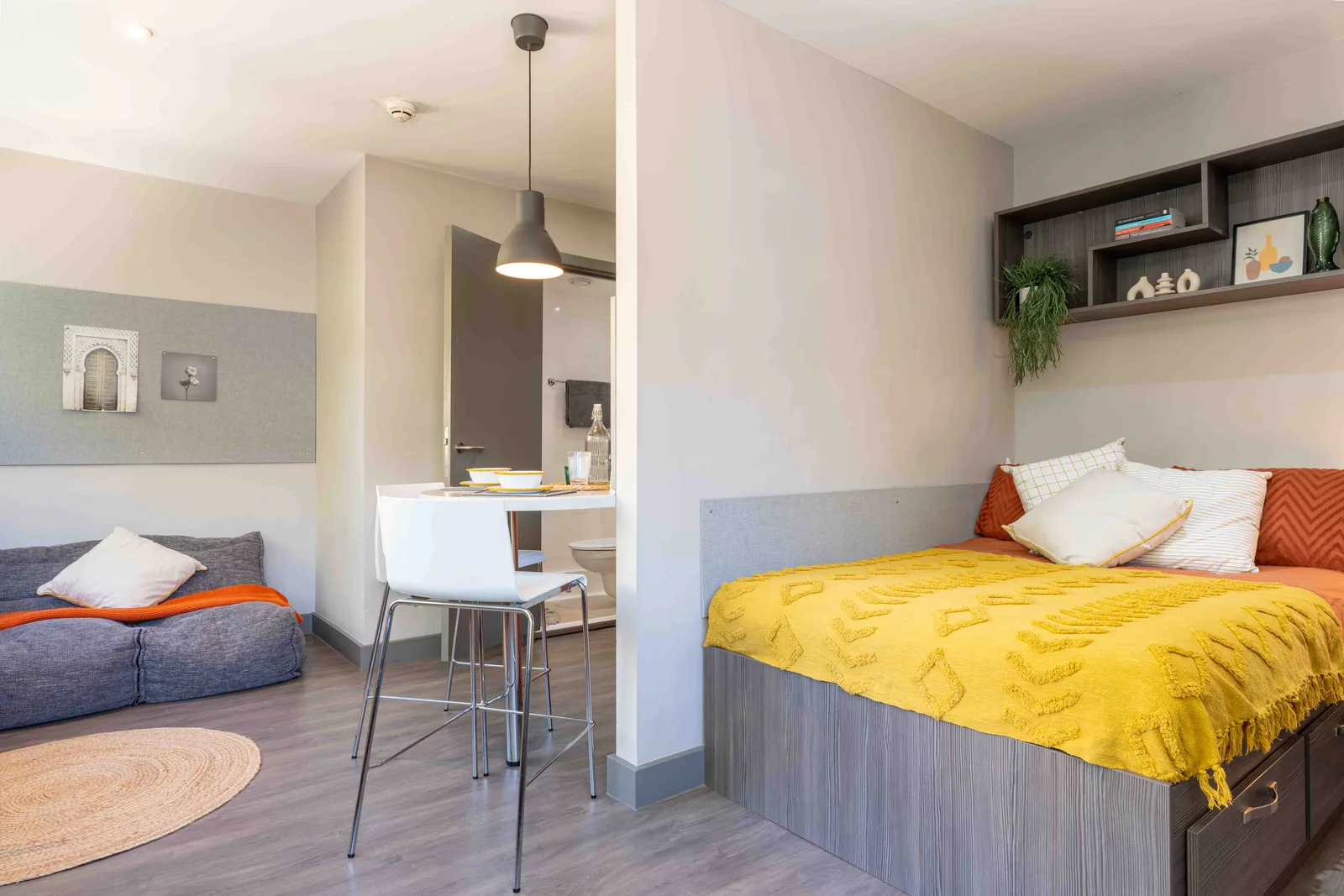 Diamond Studio Plus at iQ Water Lane House