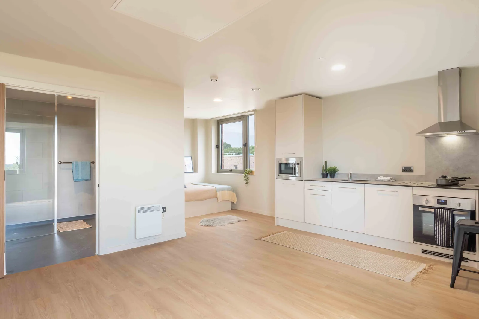 Diamond Studio Plus at iQ Longwood Place