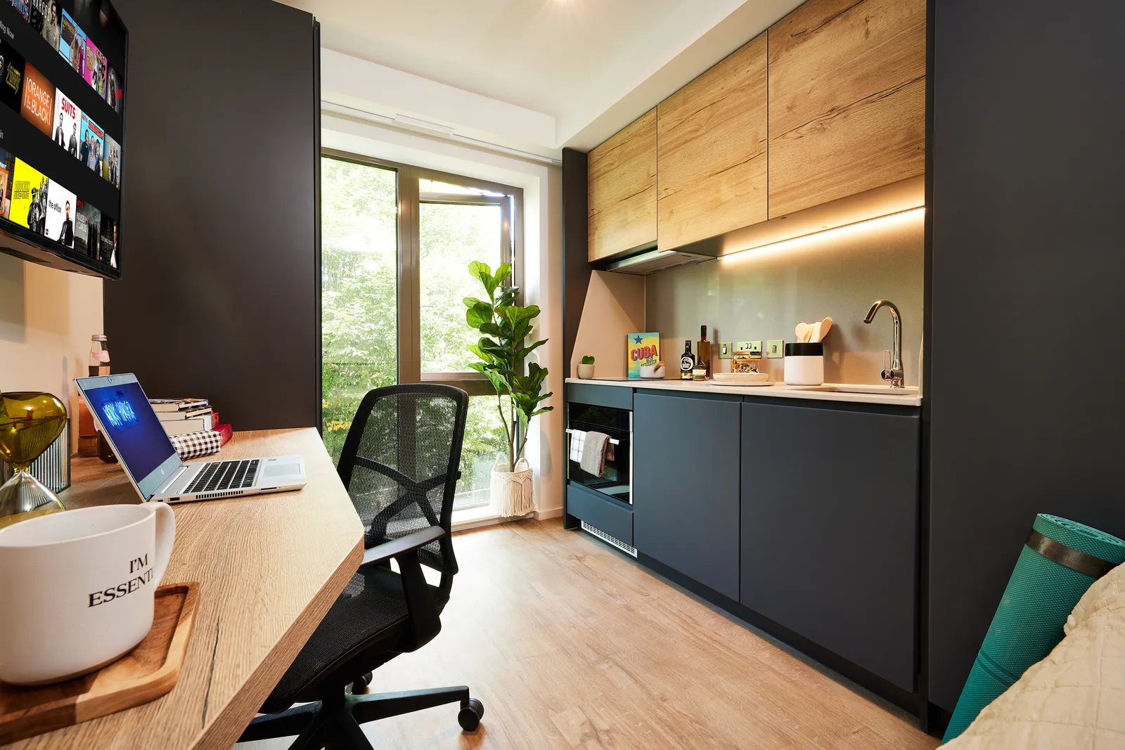 Warwick Cannon Park Student Accommodation photo 15