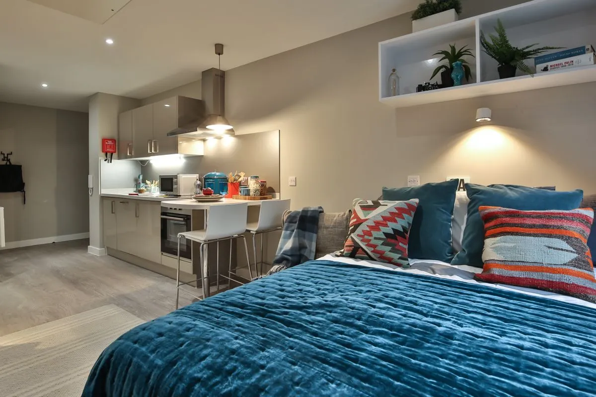 Premium Studio - Castle View at 27 King’s Stables Road
