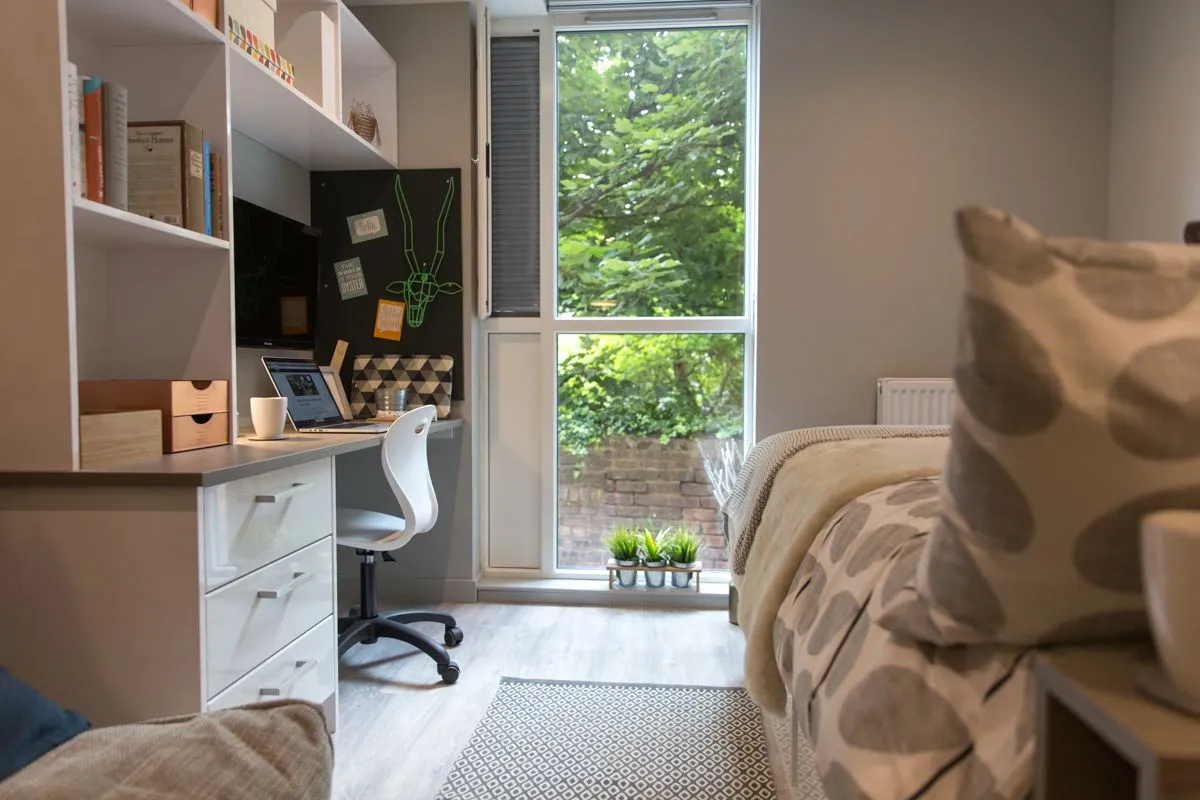 Classic Studio - Park View at Buccleuch Street