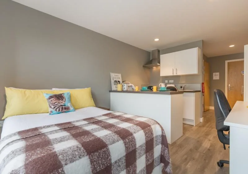 More room, more storage and great style in our premium plus studio at iQ Elliott House