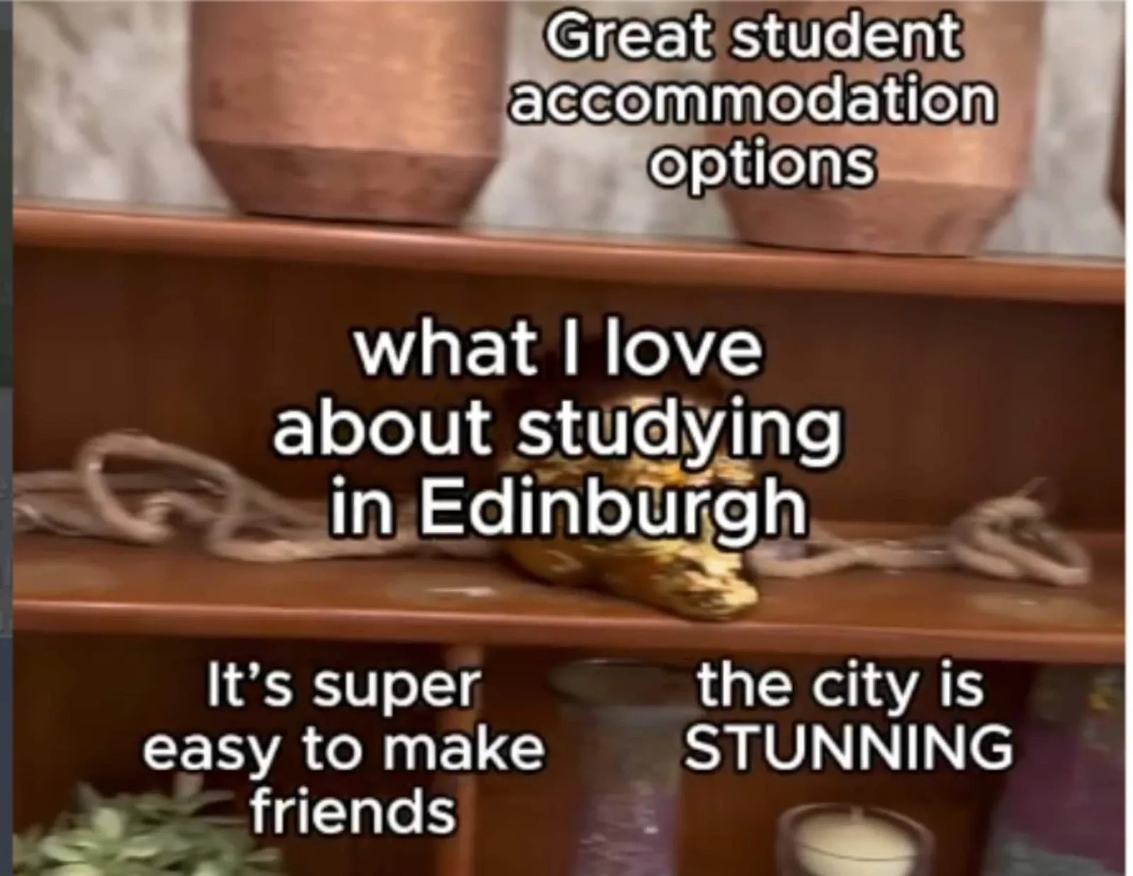 Norton Student Living photo 11