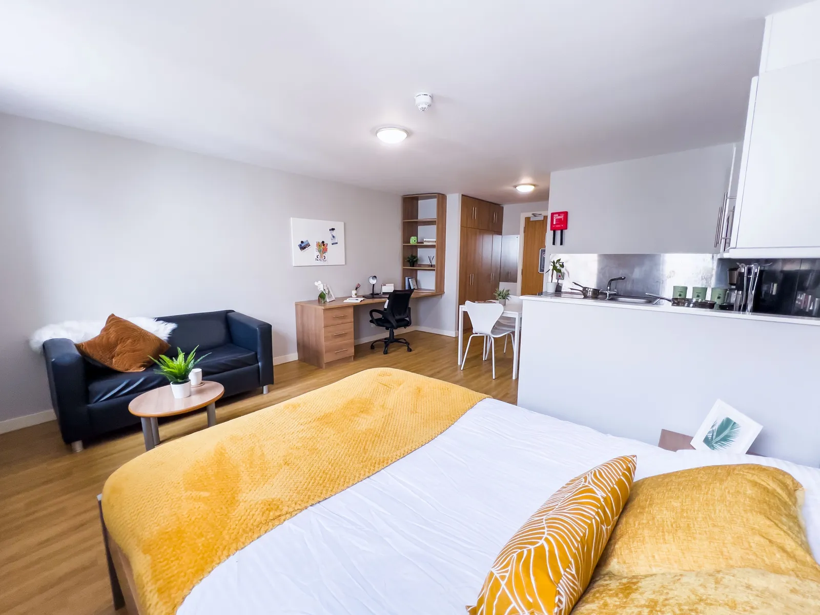 Panmure Court photo 11