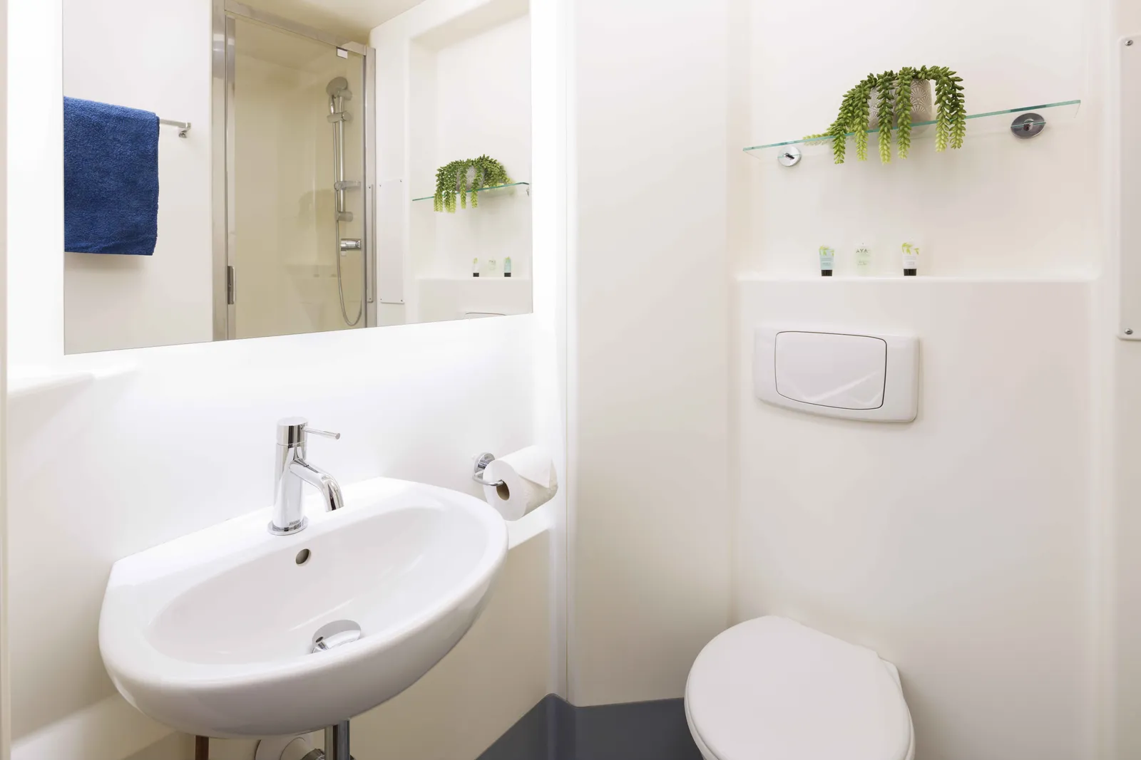 Panmure Court photo 18