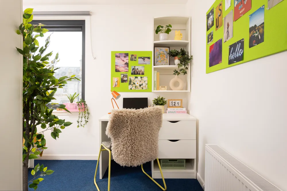 Shrubhill House photo 10