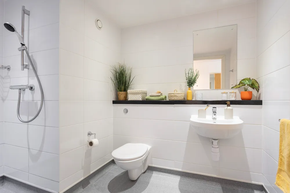 Shrubhill House photo 12