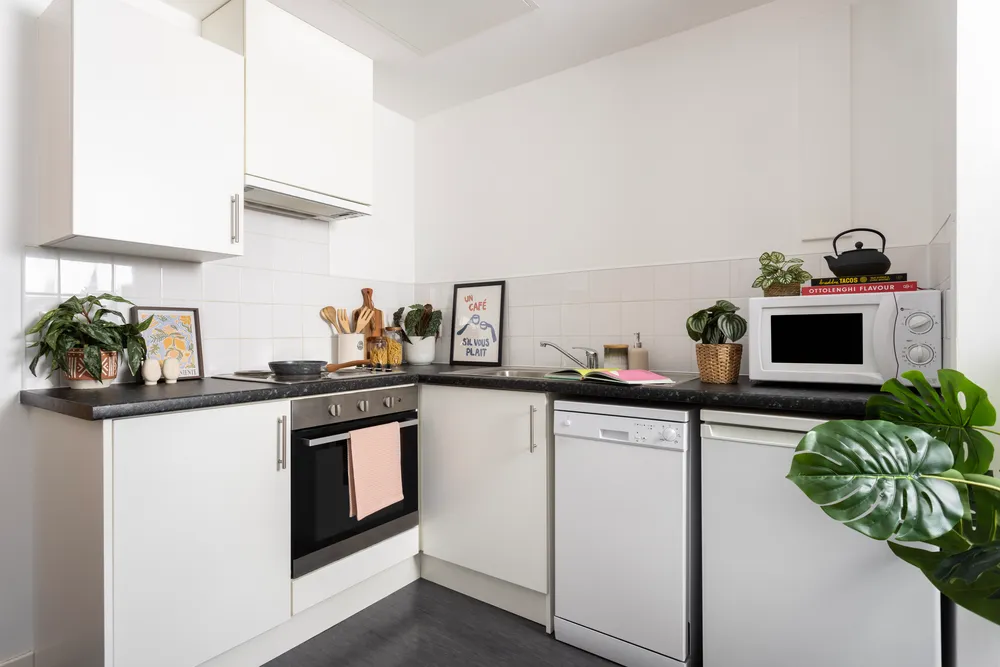 Shrubhill House photo 14