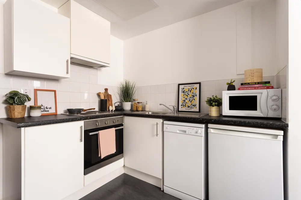 Shrubhill House photo 18