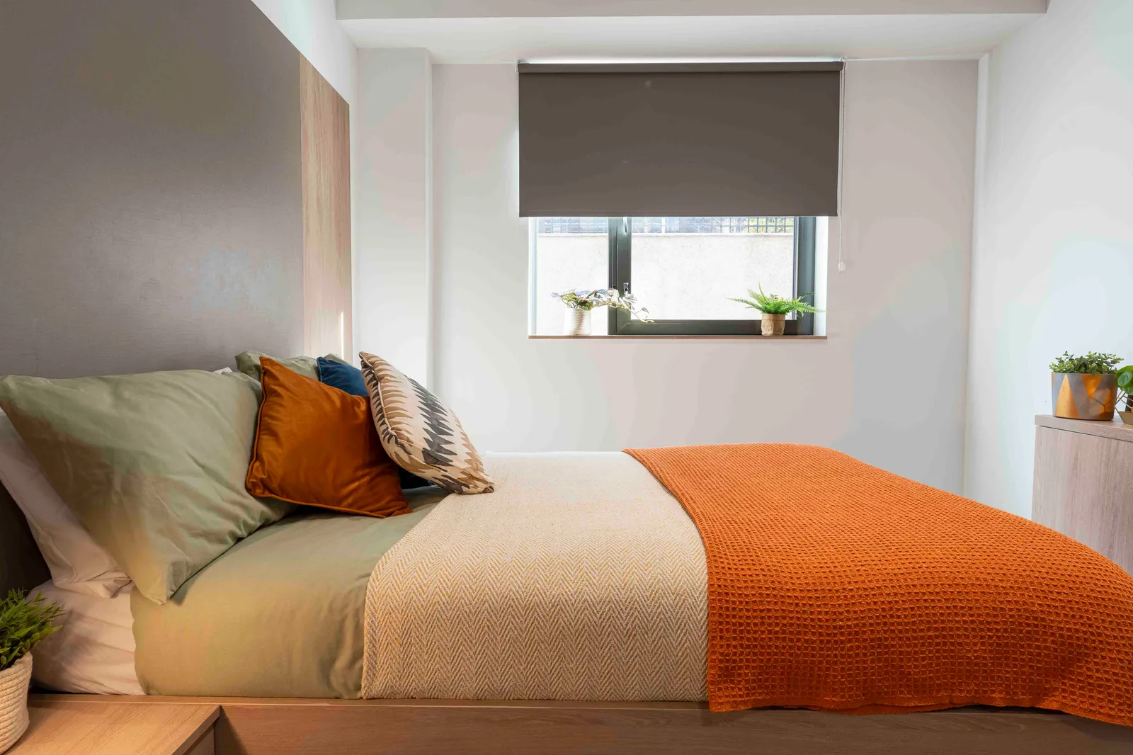 iQ The Mont photo 89