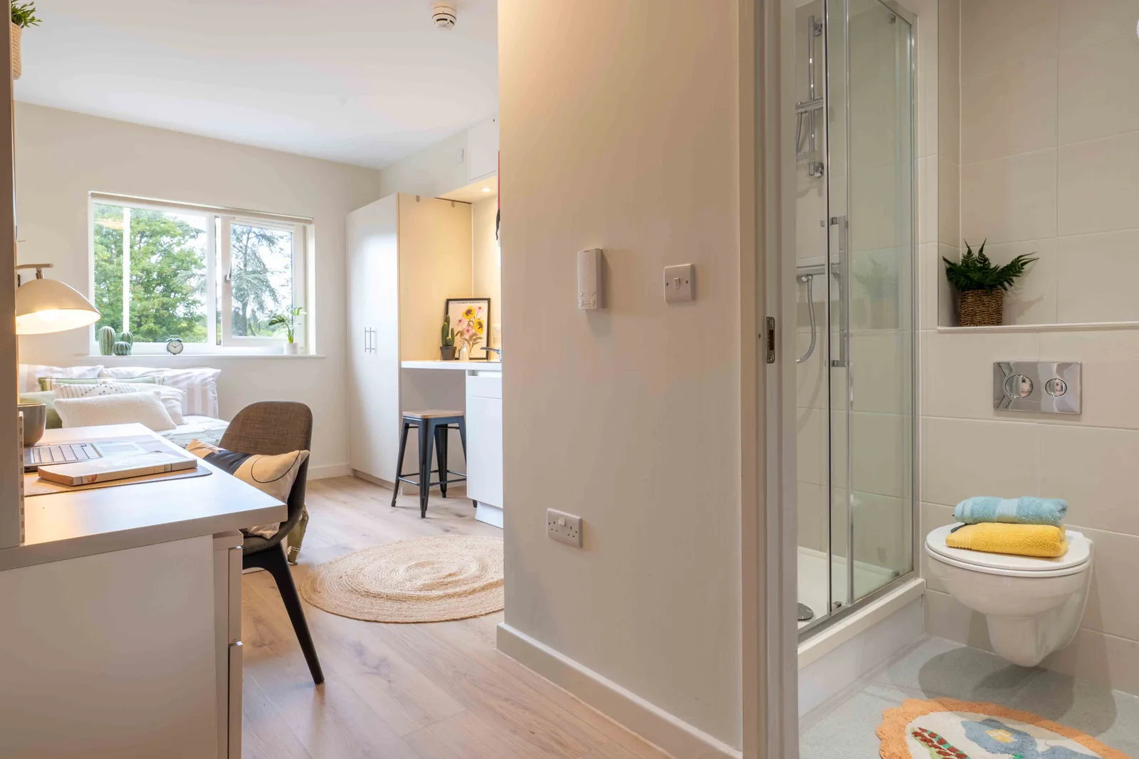 Embrace independent living in a bronze studio plus at iQ The Pad