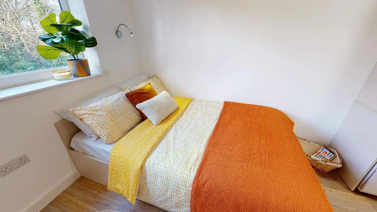 Embrace independent living in a standard studio at iQ The Pad