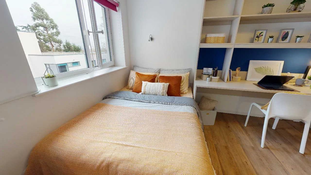 Enjoy the biggest and best room with our premium studio at iQ The Pad