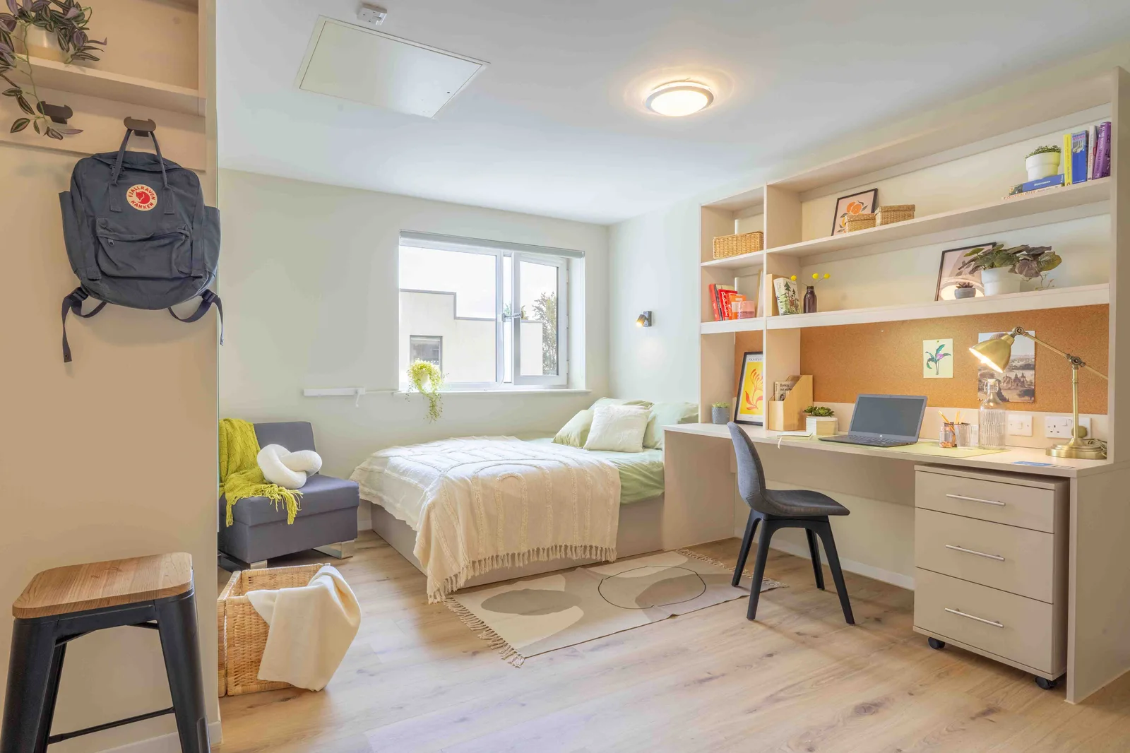 Enjoy the biggest and best room with our platinum studio plus at iQ The Pad