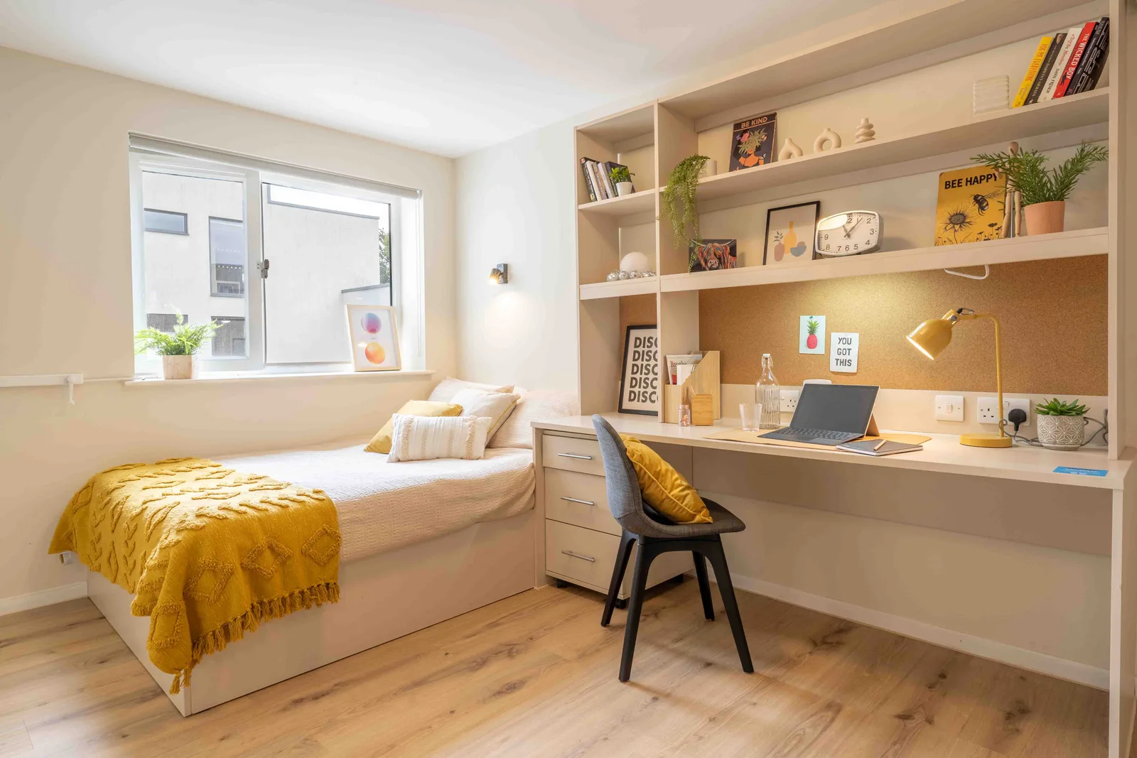 Enjoy the biggest and best room with our platinum studio at iQ The Pad