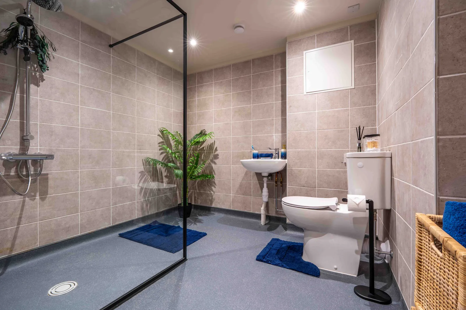 iQ Elgin Place photo 75