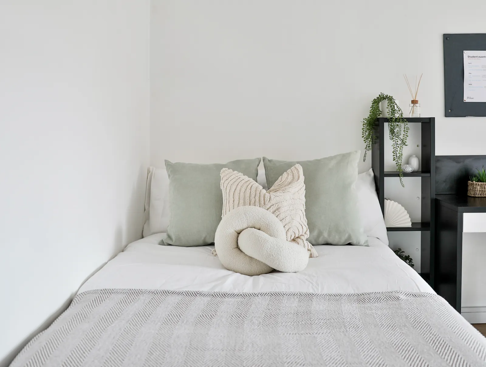 Value Shared Apartment at Chatham Lodge