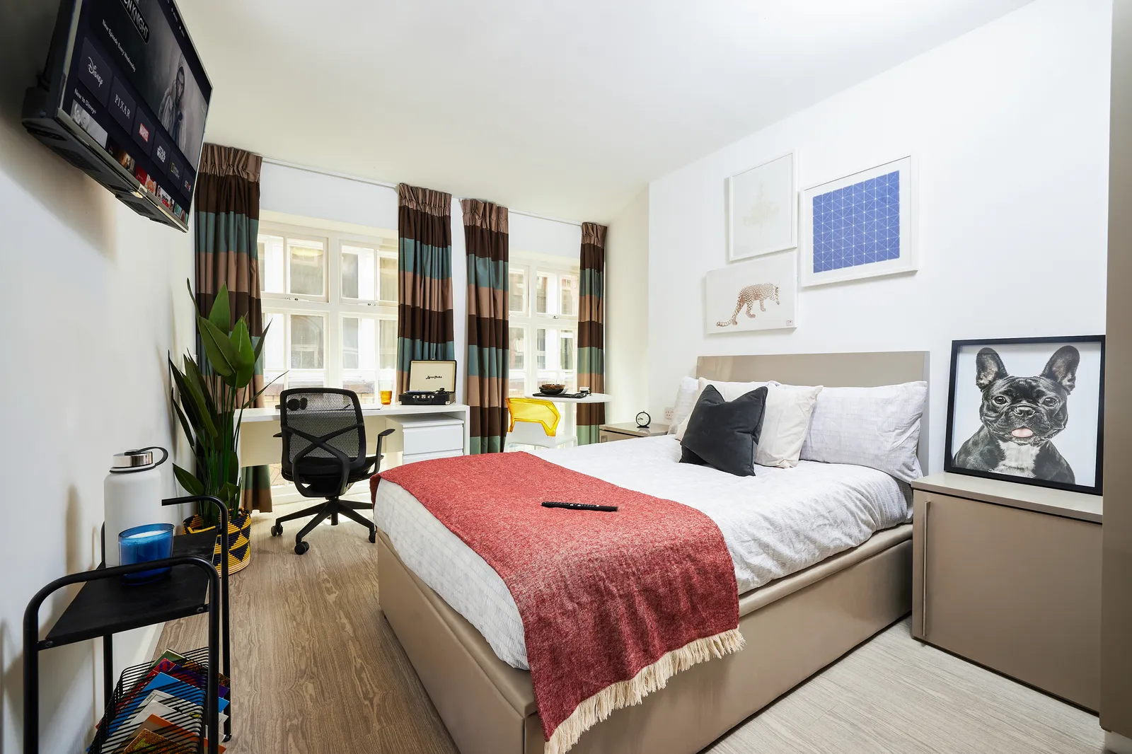 Crosshall St. Student Accommodation photo 23